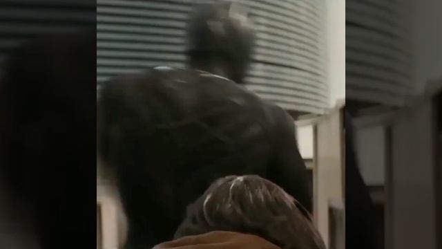 Мое первое видео.Хочу посмотреть сколько наберёт просмотров. смотреть онлайн