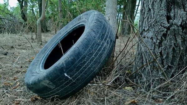 К СВЕТУ • To the Light