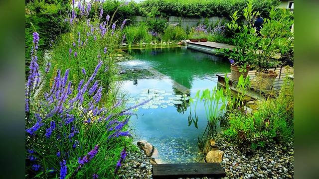 Что делать, если дачный участок сырой? смотреть онлайн