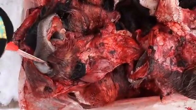 губы*щеки говяжьи смотреть онлайн