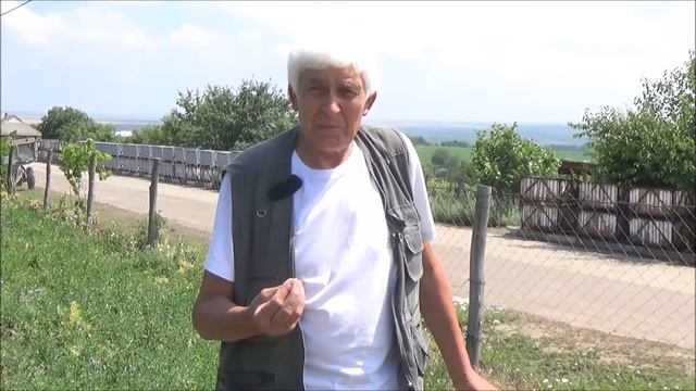 Состояние саженца поздней посадки (30 04 2018) на 09 06 2018 Июнь 2018 смотреть онлайн