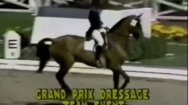 Christine Stuckelberger - Granat - Gold Medalist - Montreal 1976 смотреть онлайн