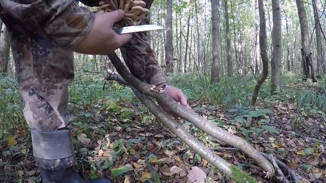 ОПЯТА ХОТЬ КОСОЙ КОСИ СЕНТЯБРЬ 2017 ПАМЯТНИК ЭКИПАЖУ МИ8 МЧС 21.09.16. THE SEARCH FOR MUSHROOMS смотреть онлайн