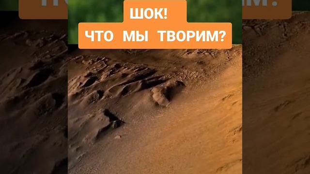 Лес один из основных источников кислорода на Земле.Люди уничтожают лес смотреть онлайн