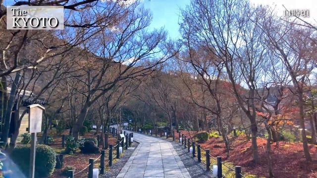 Beautiful Winter of Eikan-do Temple in Kyoto, Japan | Kyoto Travel Guide смотреть онлайн
