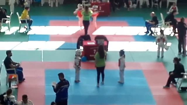 Тхэквондо девочки . 25 КГ. смотреть онлайн