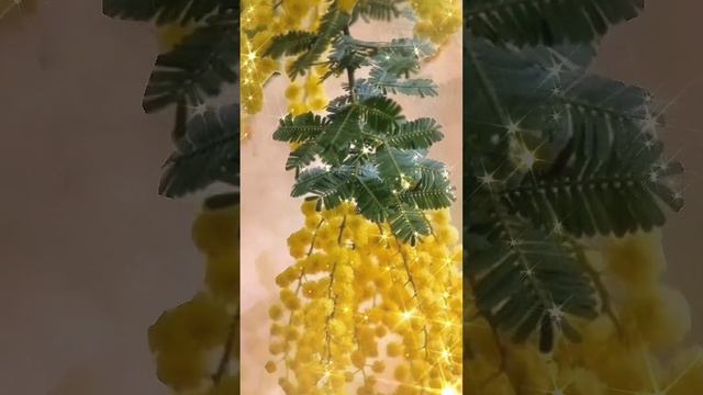 С Наступающим Женским днем 🌹 8 марта 🌹 смотреть онлайн