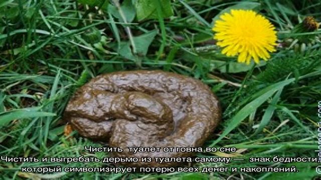 «Сонник Говно приснилось, к чему снится во сне Говно» смотреть онлайн