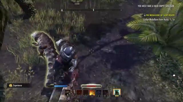 Elder Scrolls Online: Made it to Argonian Land! смотреть онлайн