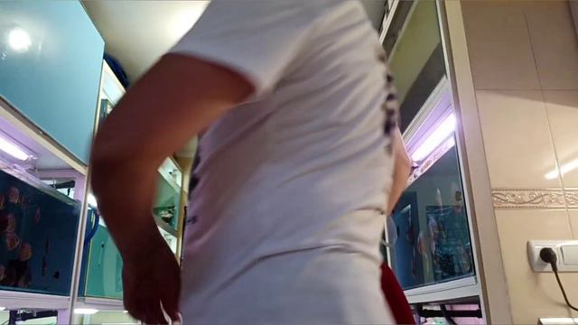 Подарок из Обнинска. смотреть онлайн