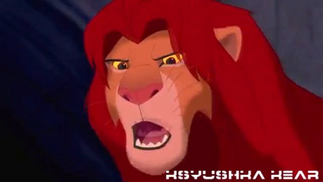 Король лев Прикол феншуй