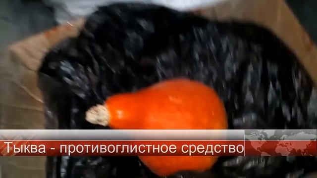 Натуральные добавки в корм птице: куры, утки, индюки / субтитры смотреть онлайн