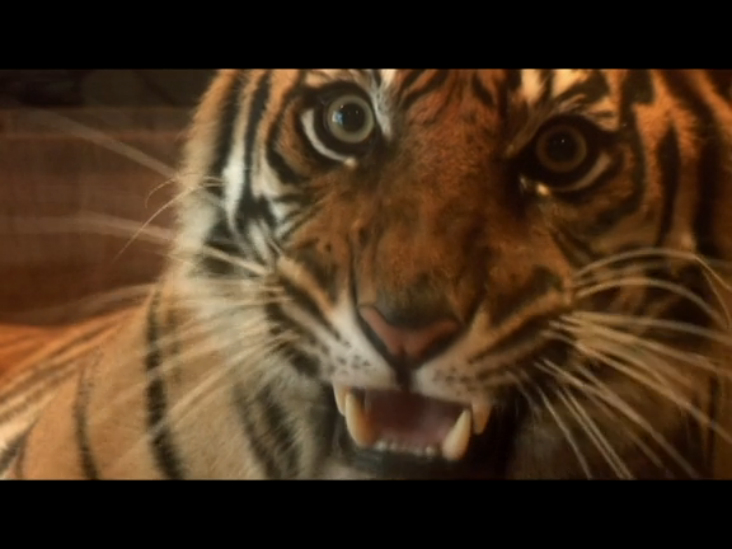 Классные, но опасные смотреть онлайн