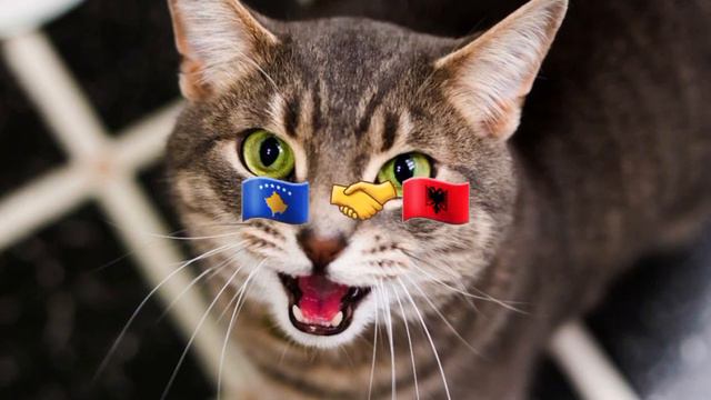 Страны которые любят Сербию против страны которые любят Косово смотреть онлайн