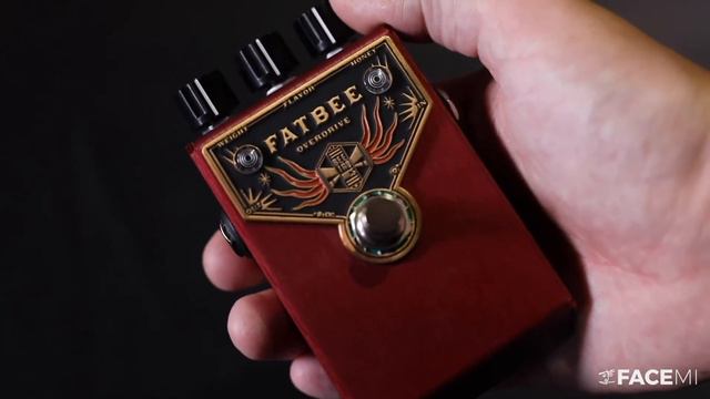 Beetronics Fatbee (JFET Overdrive) | Inside Story | FACE MI смотреть онлайн