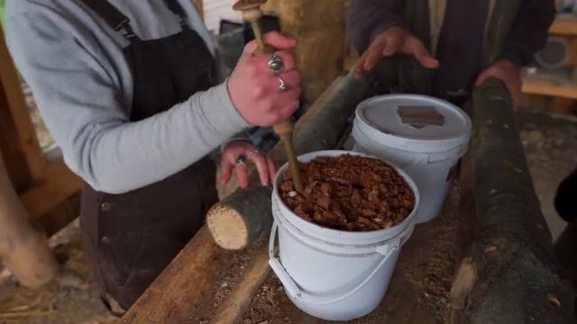 Grow SHIITAKES on LOGS with Hawk Meadow Farm — Ep. 036 смотреть онлайн