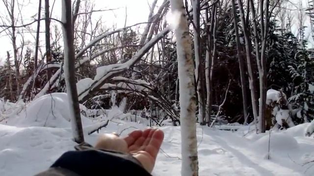 Синицы на ладони смотреть онлайн