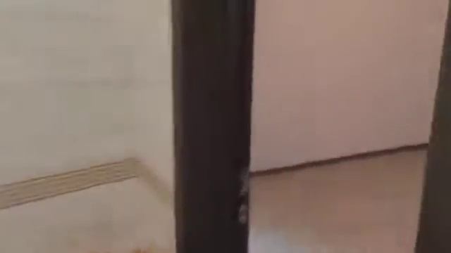 Ремонт в трехкомнатной квартире в Абакане ул Аскизская Ewro remont ru смотреть онлайн