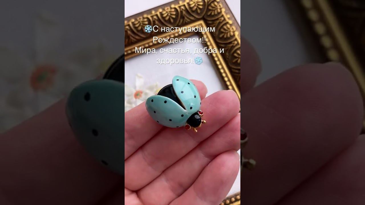 Божья коровка с новыми глазкамиПоздравляем с рождественским сочельником❄️ смотреть онлайн