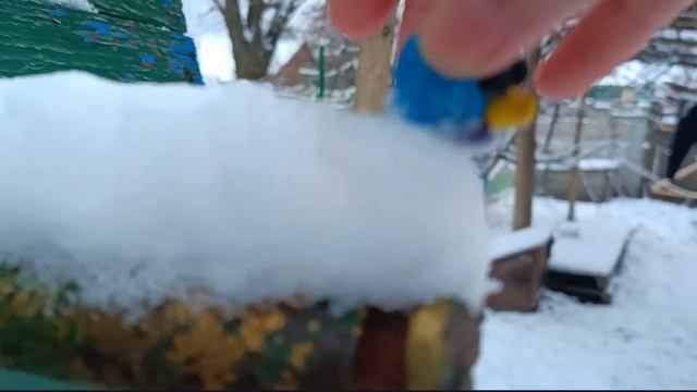НОВАЯ СЕРИЯ СМЕШАРИКОВ!! Откуда родом Карыч?🦌🐦🐧 смотреть онлайн