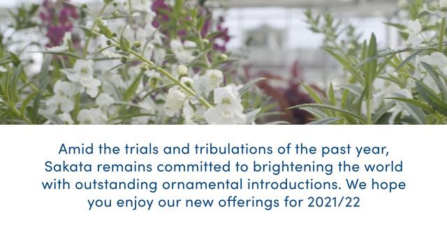 Introduction To Our New Varieties