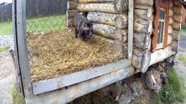 Туристский комплекс Абалак смотреть онлайн