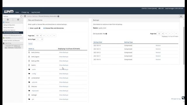How to Restore a Website From a WHM Backup смотреть онлайн