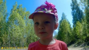 Поездка в лес,  застряли.