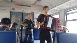 Баянисты в электричке