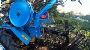 Копаем картофель мотоблоком Нева МБ2 (распашка картофеля веерной картофелекопалкой)