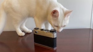 Как вставить и достать плёнку в ФЭД 5В + советы