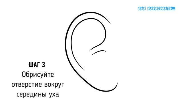 Как нарисовать уши/ухо (спереди, сбоку и сзади) | Уроки рисования для начинающих мангаки смотреть онлайн