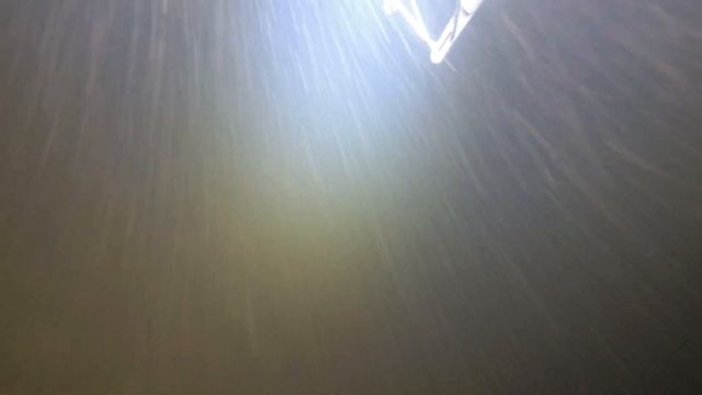Подводная охота. Тест три зуба -2 Сом 10 кг смотреть онлайн