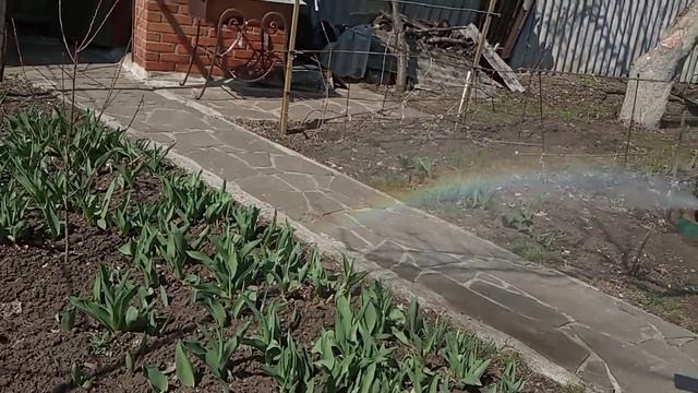 ОПРЫСКИВАТЕЛЬ и ВОЗДУХОДУВКА! Хорошее дополнение для сада. Пробуем, что, как и зачем?, смотреть онлайн