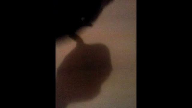 Мое оружие (мечи, сабли...) смотреть онлайн