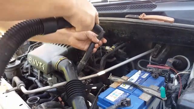 Мастерство и Талант в Действии