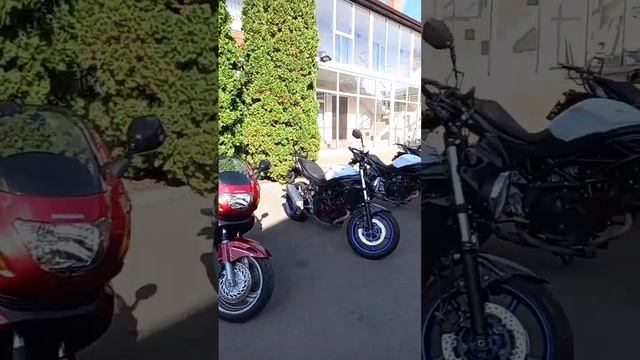 новая разгрузка из Европы от компании мотобаза смотреть онлайн