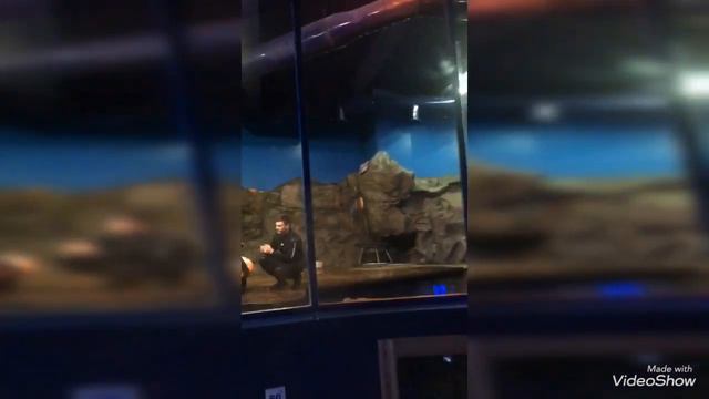 Глубинное путешествие в пещерах