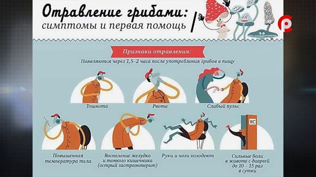 Школа безопасности 23.07.2020 смотреть онлайн