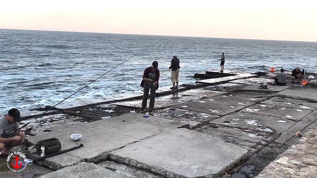ОДЕССА.АРКАДИЯ.СЕЗОН РЫБАЛКИ смотреть онлайн