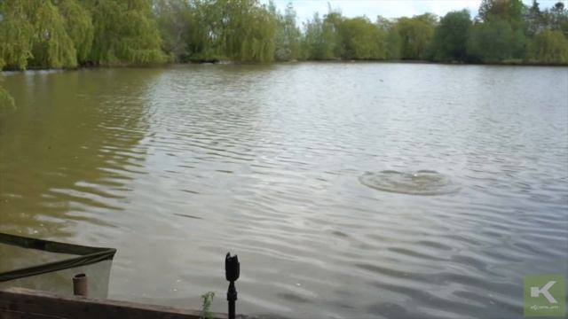 Day Ticket Fishing With The New Korum Grub Feeders