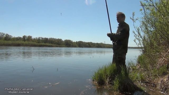 Рыбалка в проводку на поплавок и боковой кивок. Река Ока в мае 2020. смотреть онлайн