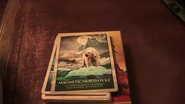 Earth Power Oracle Deck Full Flip Through by Grün Eule смотреть онлайн