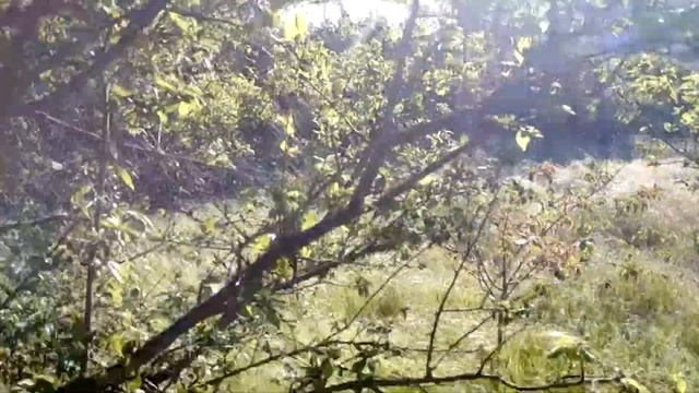 Прекрасный участок с Дачным домиком У Моря ДЕШЕВО!!! смотреть онлайн