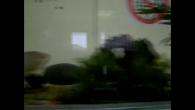 Новая камера! Пробное видео. смотреть онлайн