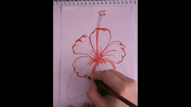 Как нарисовать цветок гибискуса смотреть онлайн