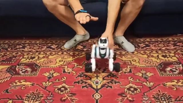 Инструкция по управлению интерактивная игрушка Собака на радиоуправлении 666-800A Управление жестам смотреть онлайн