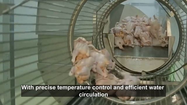 Ensure Freshness and Safety with Our Essential Pre-Chilling Machine for Poultry Slaughterhouses смотреть онлайн