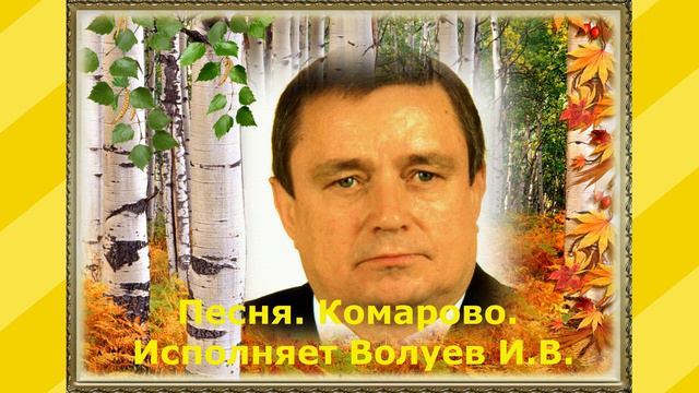 558.В.Ю. Песня. Комарово. Исполняет Волуев И.В. смотреть онлайн