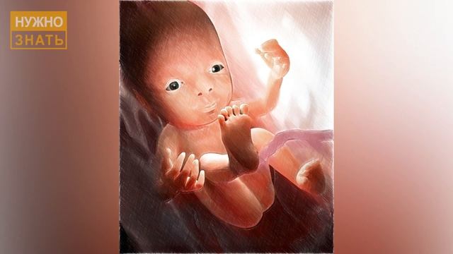 30 неделя беременности. Развитие плода. УЗИ 3D и 4D. Что чувствует беременная. Как выглядит ребенок смотреть онлайн